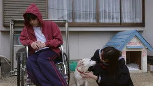 Sakura háttérkép