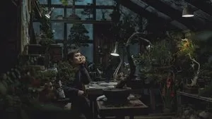 Nincs más választás háttérkép