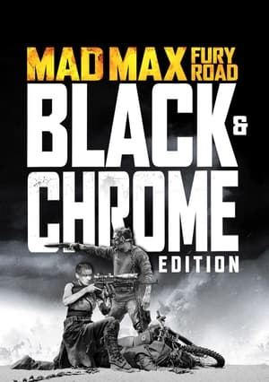 Mad Max: Fury Road - Black and Chrome Edition
