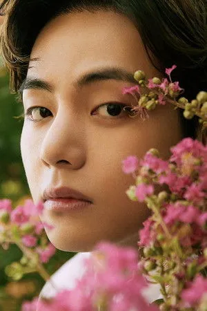 뷔 profil kép