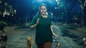 Éjszakai szuka háttérkép