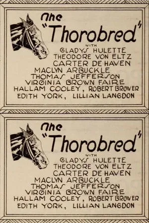 The Thoroughbred