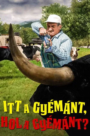 Itt a gyémánt, hol a gyémánt?