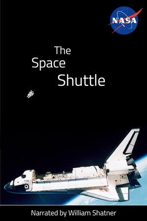 The Space Shuttle