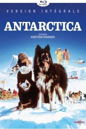 Antarctica poszter