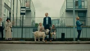 Baa-Baa! háttérkép