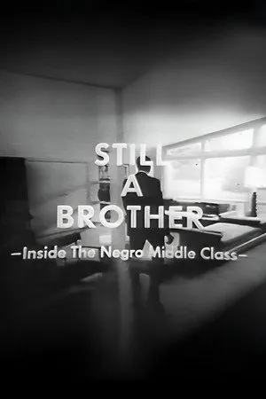 Still A Brother: Inside the Negro Middle Class