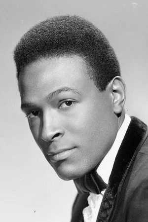 Marvin Gaye profil kép