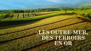 Les Outre-mer, des terroirs en or háttérkép
