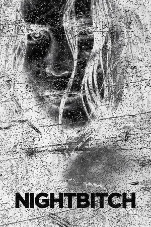 Éjszakai szuka poszter