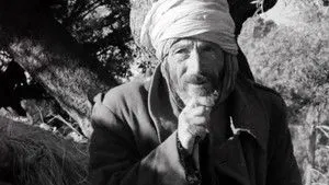 Algeria, Year Zero háttérkép