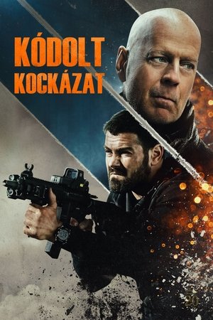Kódolt kockázat