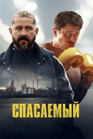 Sal - Véres boksz poszter