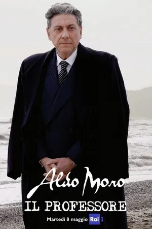 Aldo Moro -  il Professore poszter