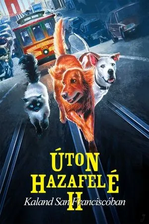 Úton hazafelé 2. - Kaland San Franciscóban