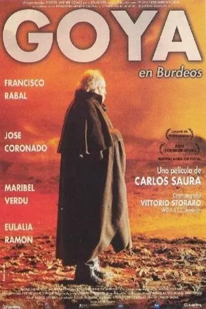 Goya in Bordeaux