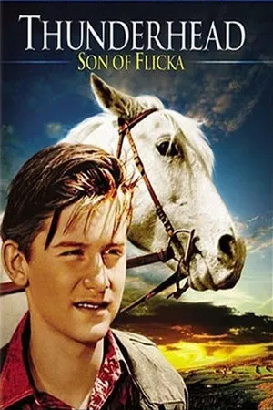 Thunderhead: Son of Flicka poszter