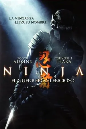 Ninja poszter