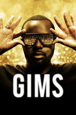 A sokszínű Maitre Gims