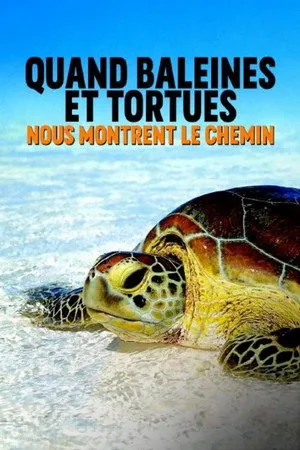 Quand baleines et tortues nous montrent le chemin
