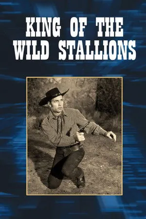 King of the Wild Stallions poszter