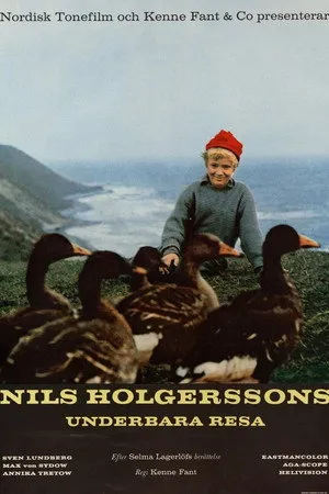 Nils Holgersson csodálatos utazása a vadludakkal