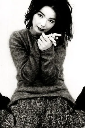 Björk's Greatest Hits: Volumes 1993-2003