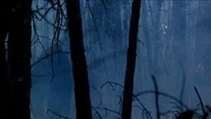 The Legend of Boggy Creek háttérkép