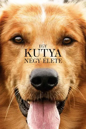 Egy ​kutya négy élete