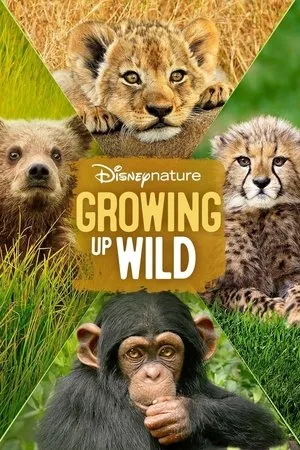 Kölykök a vadonban