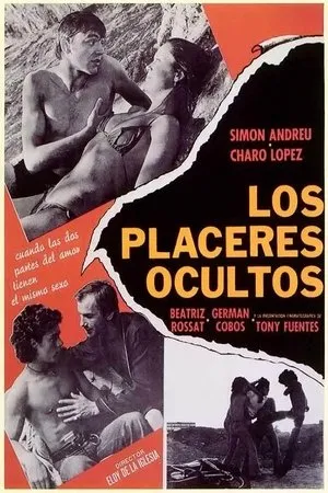 Hidden Pleasures poszter