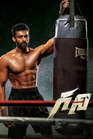 గని poszter