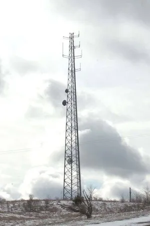 Cellular