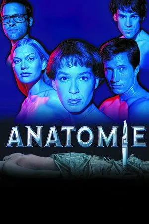 Anatómia poszter