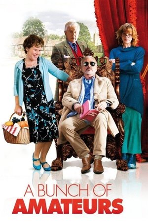 Műkedvelő társulat