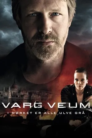Varg Veum - A sötétben minden farkas szürke poszter