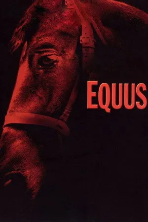 Equus poszter
