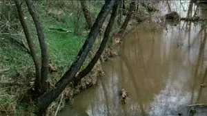 The Legend of Boggy Creek háttérkép