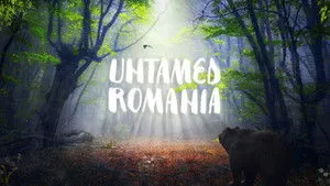 Untamed Romania háttérkép