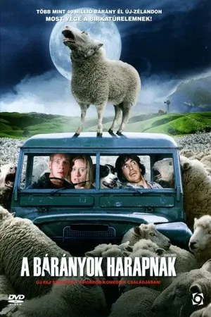 A bárányok harapnak