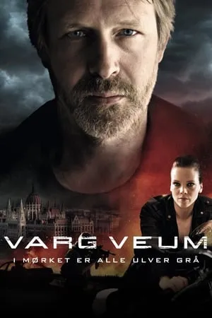 Varg Veum - A sötétben minden farkas szürke poszter