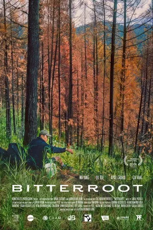 Bitterroot poszter