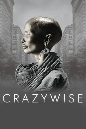 Crazywise poszter
