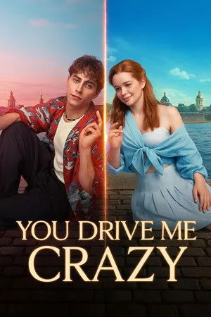 You Drive Me Crazy poszter