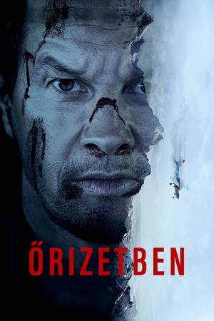 Őrizetben