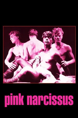 Pink Narcissus poszter