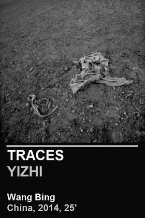 Traces