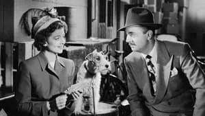 Song of the Thin Man háttérkép