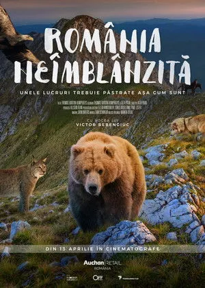 Untamed Romania poszter