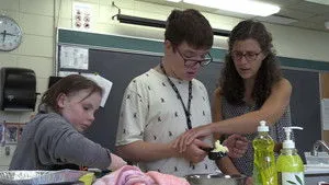 Sylvie à l'école háttérkép